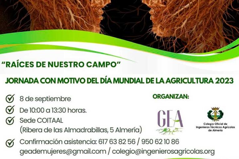 Día 8 de septiembre. Raíces de nuestro campo