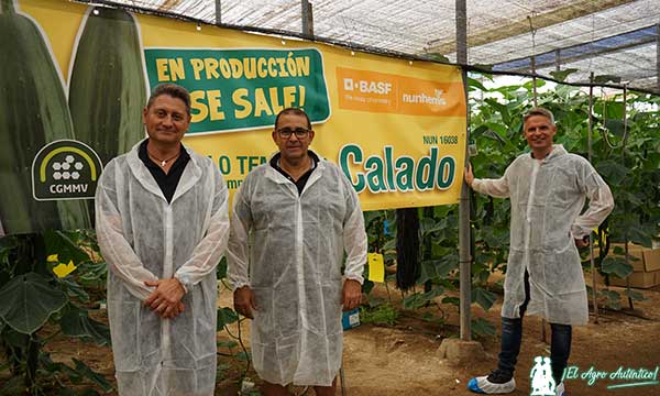 Juan Antonio Milán y Emilio Peláez, productores de pepino, con Tom Lombaerts, responsable de marketing global de pepino en BASF / agroautentico.com