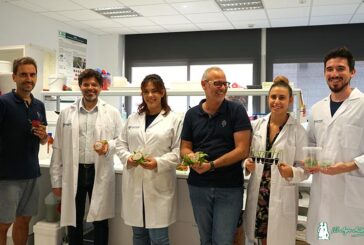 Llegan las primeras pitahayas con genética almeriense
