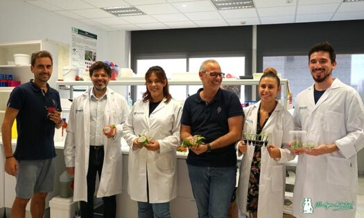 Laboratorio del Grupo Beyond Seeds en el PITA de la UAL / agroautentico.com
