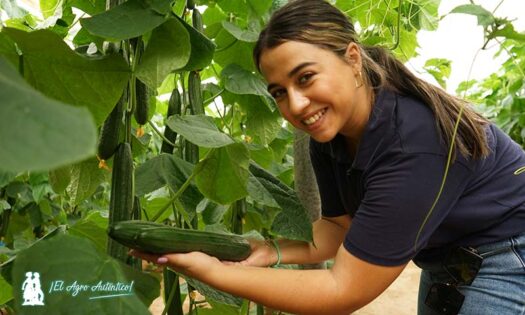 Manuela García, marketing de BASF, con frutos de pepino Calado / agroautentico.com