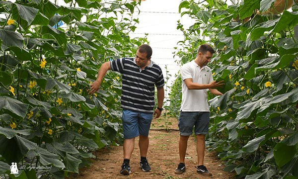 Seipasa agricultura ecológica con Agrícola FranMartos / agroautentico.com