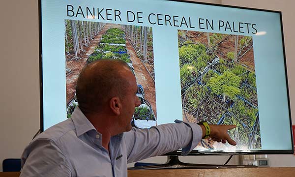 Banker de cereal en palets / agroautentico.com