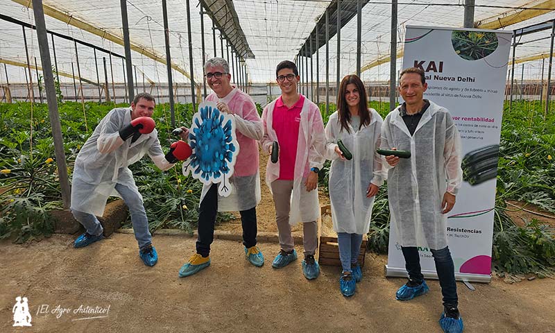 Calabacín Kai. Puertas abiertas ayer en el Poniente de Almería / agroautentico.com