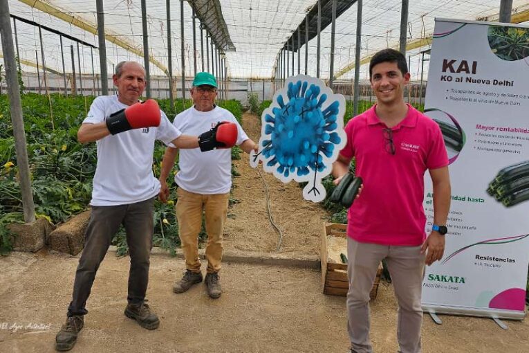 Kai es el primer calabacín resistente a Nueva Delhi de Sakata