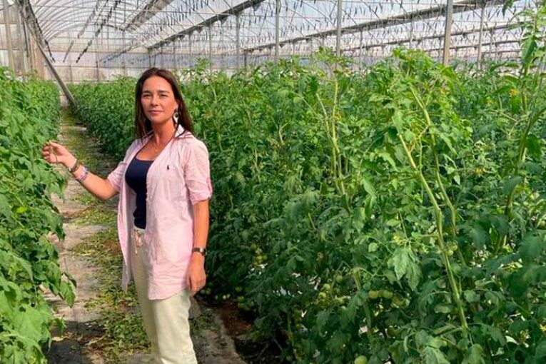 Cambios bruscos de temperatura: cómo afecta al cultivo y cómo moderar la respuesta de la planta