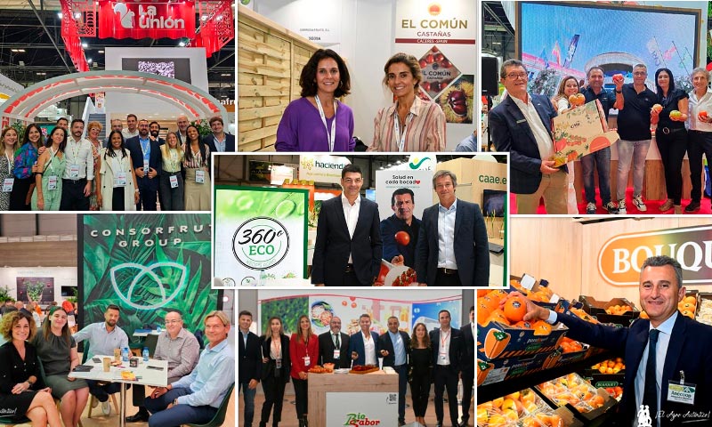 Claves de la comercialización hortofrutícola en la feria de Madrid