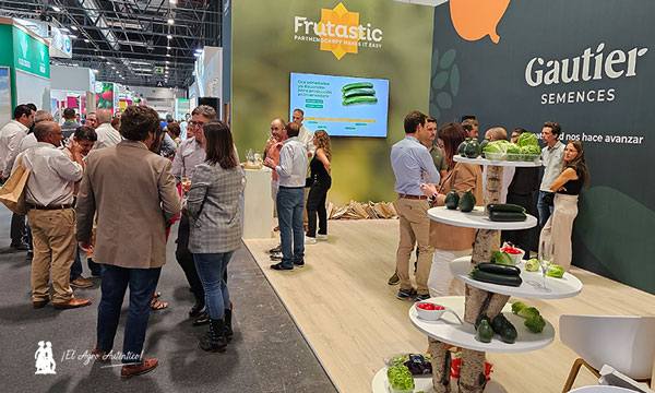 Gautier Semences lanza la primera gama de calabacines altamente partenocárpicos: . Frutastic-noticias-agroautentico.com