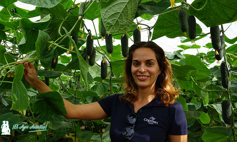 Hiedra Muñoz, delegada técnica comercial de CapGen Seeds en el Poniente de Almería / agroautentico.com