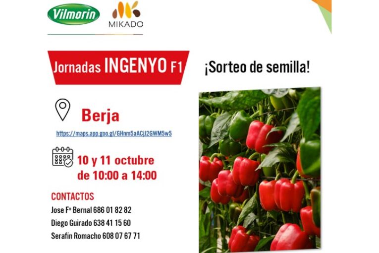 Días 10 y 11 de octubre. Jornadas de pimiento Ingenyo de Vilmorin-Mikado