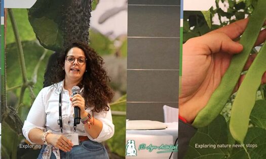 Lola López, delegada de Bejo Ibérica en Almería / agroautentico.com