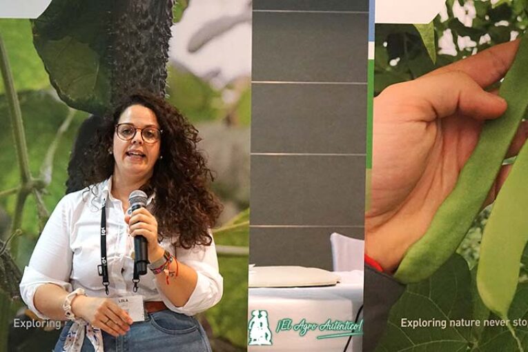 Bejo se refuerza en judía y pepino español y se estrena en francés