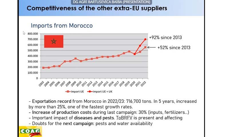 Los privilegios de la UE a Marruecos abocarían a España a ser importador neto de tomate en 2035