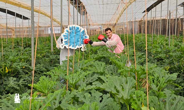 Pedro Fernández, Sakata, y Adrián Martínez, Timac Agro. / agroautentico.com