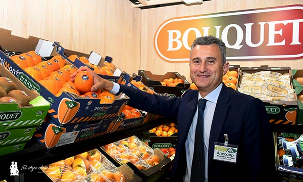 Comercialización hortofrutícola. Alejandro Monzón, presidente de Anecoop / agroautentico.com