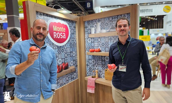 José y Marc del equipo de Fitó con tomate Monterosa / agroautentico.com