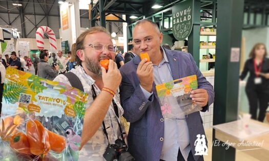 Haciendo crunch a un Tatayoyo con Juan Ramón Rodríguez, marketing en Rijk Zwaan / agroautentico.com