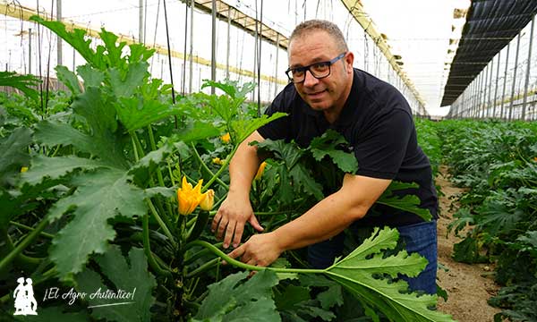 Víctor López es crop manager de hortícolas y subtropicales en España en la compañía Certis Belchim. Recomienda Milbeknock frente a araña roja / agroautentico.com