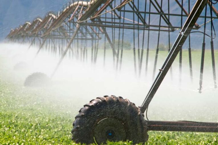 La propuesta sobre Uso Sostenible de Fitosanitarios, sin estudio de impacto