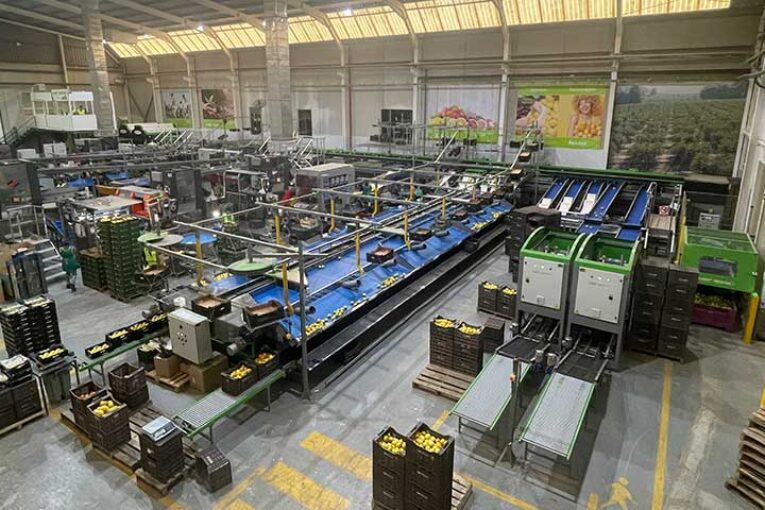 Toñifruit S.L. y la cooperativa Albentillas unen fuerzas