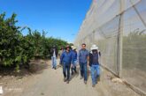 ProAct aa bioestimula un bosque de 300 hectáreas de mandarinas y limones bio en Huércal-Overa