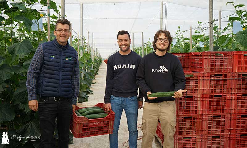 Daniel Martín y Germán Ureña de Sur Seeds con el productor de pepino Sergio Varela / agroautentico.com