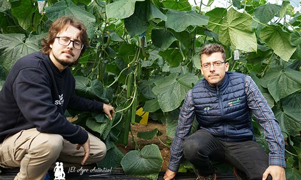 Daniel Martín y Germán Ureña, Sur Seeds / agroautentico.com