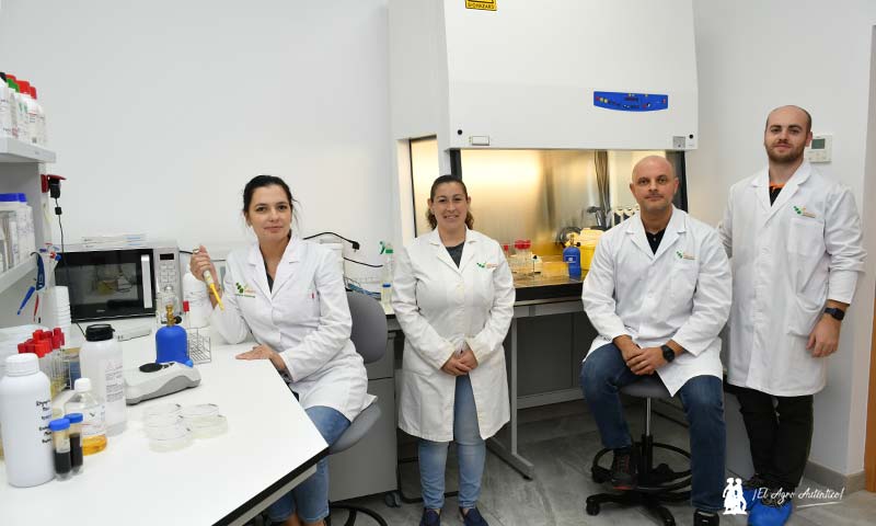 En el laboratorio de microbiología David, Soumi, Juan David y Silvia / agroautentico.com