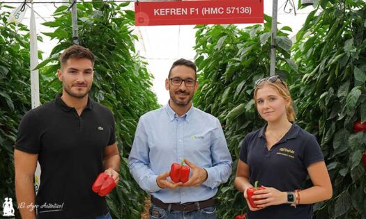 Jorge Fernández y David González, de HM.Clause; con Lorena Villar, técnica de Agroejido Dalías / agroautentico.com