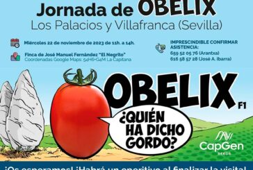 Día 22 de noviembre. Jornada de tomate Obelix en Los Palacios