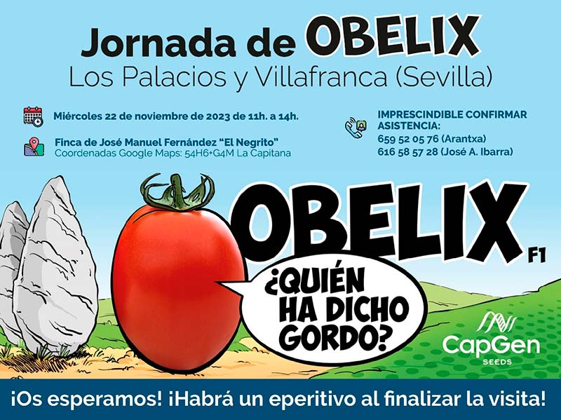 Día 22 de noviembre. Jornada de tomate Obelix en Los Palacios