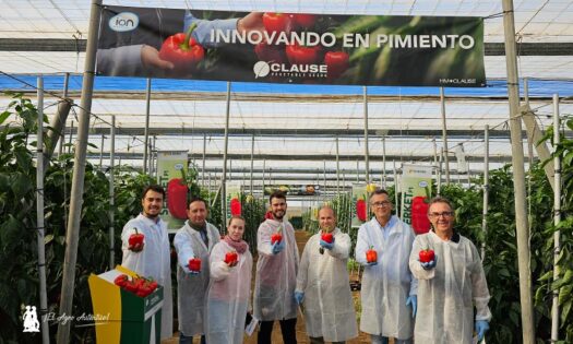 Pimientos en Níjar de HM.Clause / agroautentico.com