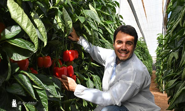José Miguel Reyes, marketing, con el pimiento Kefren de HM.Clause / agroautentico.com