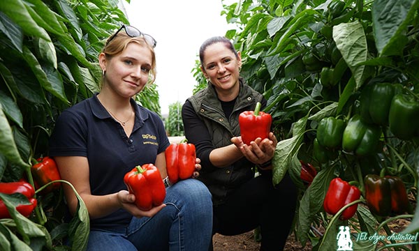 Lorena Villar, Agroejido, con la agricultora almeriense Loli González y la variedad Serket / agroautentico.com