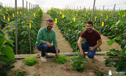 Los hermanos Paco, Entonova, y Juan Carlos Cara Gutiérrez / agroautentico.com