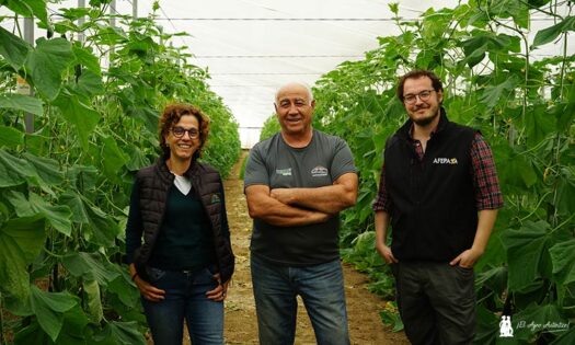 Manoli Joya, Paco Moreno y Guillermo Vázquez Lupión y Rodríguez con el azufre microbiológico de Afepasa en Almería / agroautentico.com