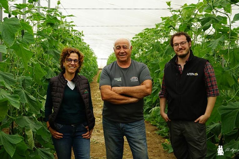 Afepasa y Lupión y Rodríguez desbloquean suelos salinos con azufre microbiológico