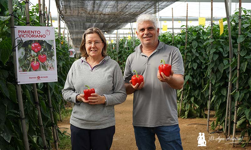Marisol Arnedo y Jorge Bervel con frutos de pimiento california Victoriano / agroautentico.com