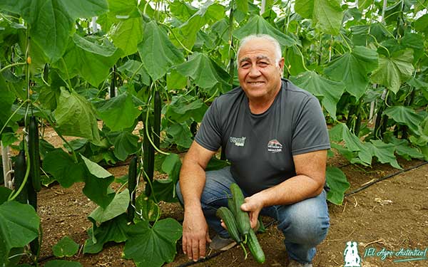 Paco Moreno, productor ecológico y cliente de Lupión y Rodríguez / agroautentico.com
