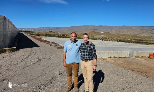 Agricultor en Gérgal. Antonio Pérez con 'Joseillo', Hazera. Al fondo se divisa un parque eólico en esta comarca de Almería / agroautentico.com