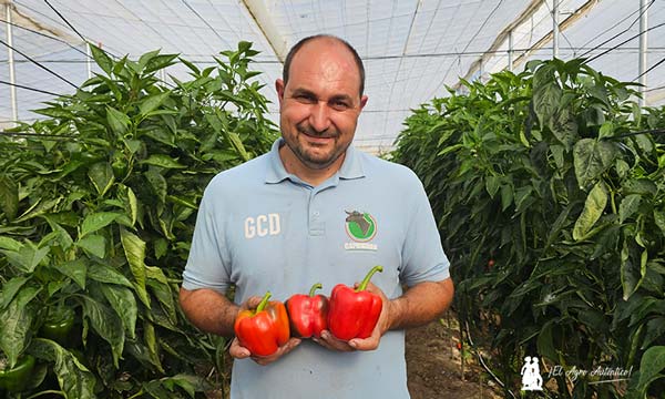 Antonio Pérez, agricultor y ganadero almeriense, perteneciente a la asociación Caprigran, de la raza caprina murciano-granadina / agroautentico.com