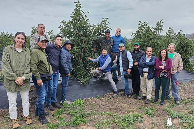 Finca La Nacla mejora las técnicas de cultivo de aguacate y mango