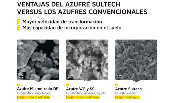 Ventajas del azufre microbiológico versus azufre convencional / agroautentico.com