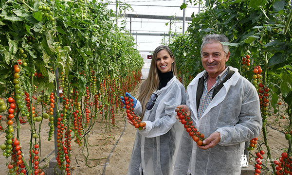 Gautier se cita con el sabor en su última nueva hornada de tomates-noticias-agroautentico.com