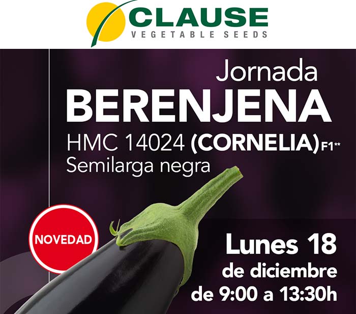 Día 18 de diciembre. Jornada de berenjena de HM.Clause