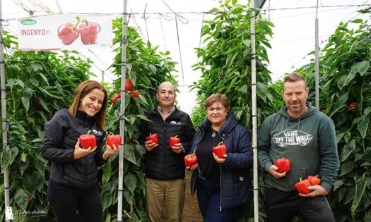Isabel Rodríguez y Luis Twose, Vilmorin Mikado, en un invernadero de Adra con el california Ingenyo / agroautentico.com