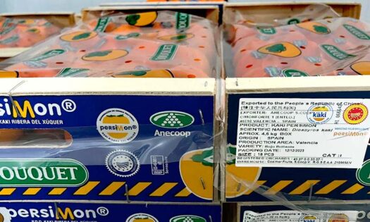 Anecoop envía el primer contenedor de Persimon a China-noticias-agroautentico.com