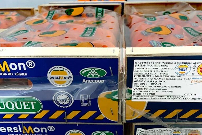 Anecoop envía el primer contenedor de Persimon a China