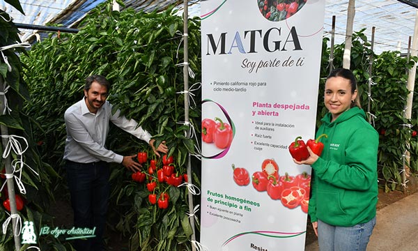Matías García y Sara Guerrero de Sakata con pimiento Matga / agroautentico.com