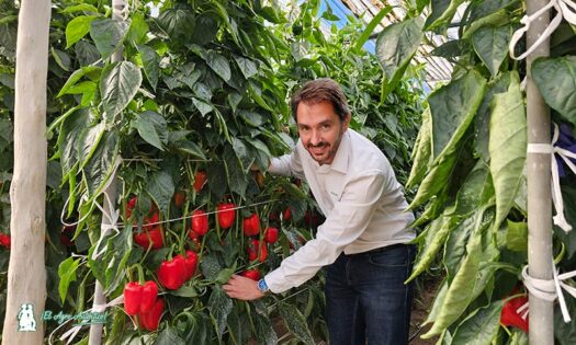 Matías García, director comercial de Sakata en Almería / agroautentico.com